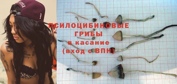эйфоретик Каменка