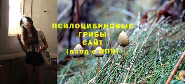 эйфоретик Каменка
