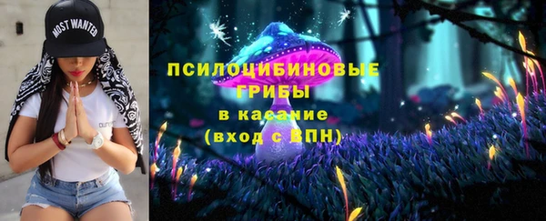 эйфоретик Каменка