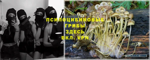 эйфоретик Каменногорск