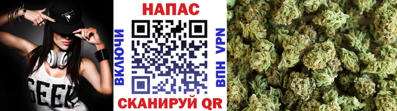 Купить где  Вилюйск  Марихуана сатива 